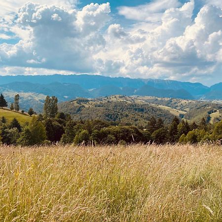 Amont Chalet Peștera Bagian luar foto