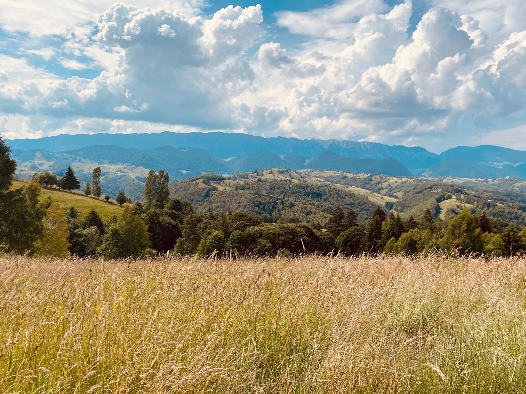 Amont Chalet Peștera Bagian luar foto