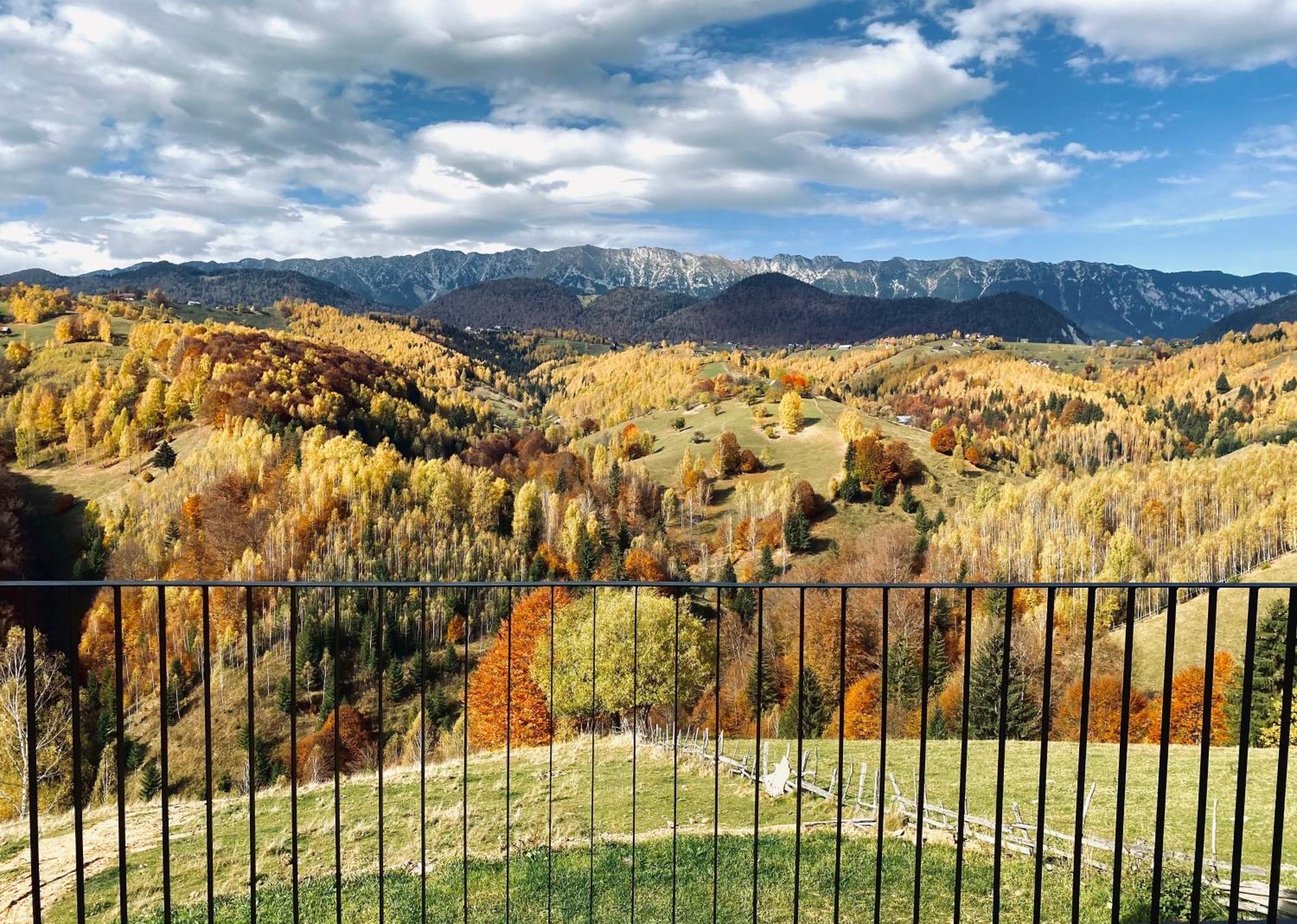 Amont Chalet Peștera Bagian luar foto
