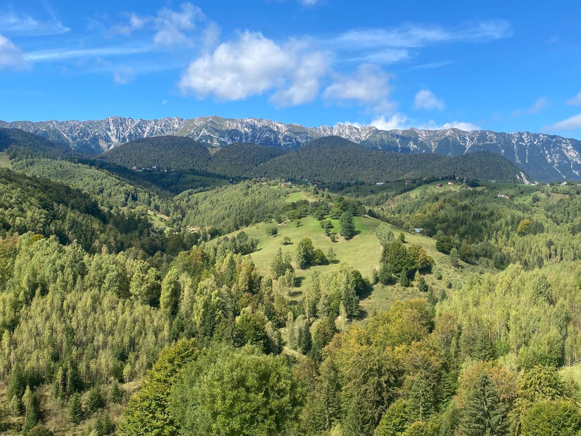 Amont Chalet Peștera Bagian luar foto