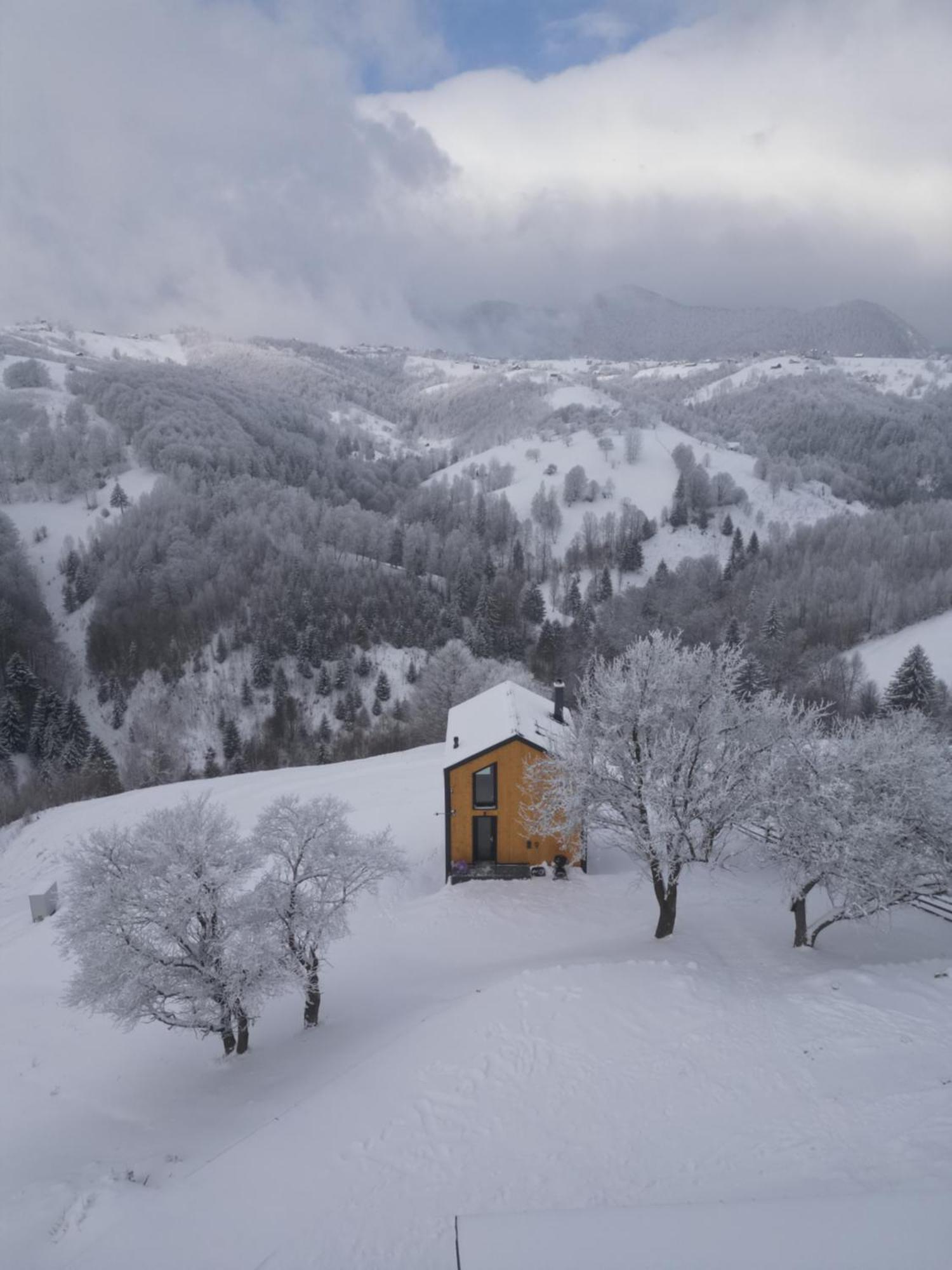 Amont Chalet Peștera Bagian luar foto